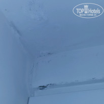 фото из отзыва ID 1217193