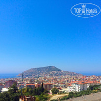 фото из отзыва ID 1217198