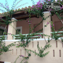 фото из отзыва ID 1217255