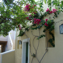 фото из отзыва ID 1217255