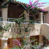 фото из отзыва ID 1217255