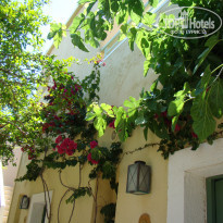 фото из отзыва ID 1217255