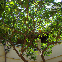 фото из отзыва ID 1217255