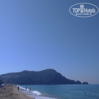 фото из отзыва ID 1217264