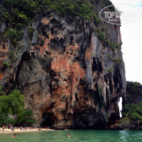 фото из отзыва ID 1217297