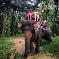 фото из отзыва ID 1217297