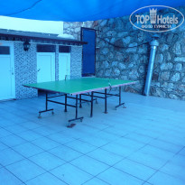 фото из отзыва ID 1217318