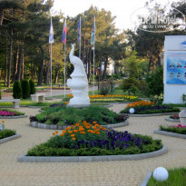 фото из отзыва ID 1217422