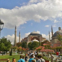 фото из отзыва ID 1217515