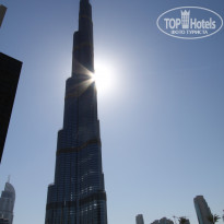 фото из отзыва ID 1217621