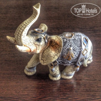 фото из отзыва ID 1217863