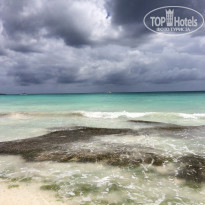 фото из отзыва ID 1218137