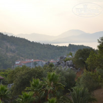 фото из отзыва ID 1218302