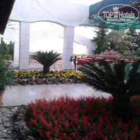 фото из отзыва ID 1218325