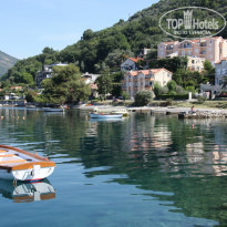 фото из отзыва ID 1218354