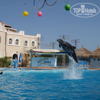 фото из отзыва ID 1218339