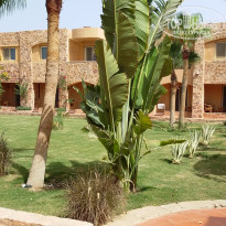 фото из отзыва ID 1218481