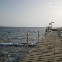 фото из отзыва ID 1218481