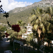 фото из отзыва ID 1218519