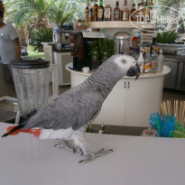 фото из отзыва ID 1218519