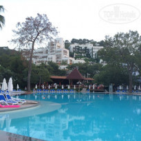 фото из отзыва ID 1216499