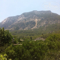 фото из отзыва ID 1218635