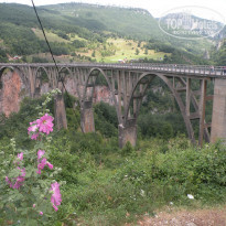 фото из отзыва ID 1216030