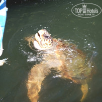 фото из отзыва ID 1218857