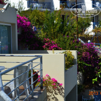 фото из отзыва ID 1218955