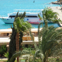 фото из отзыва ID 1218990