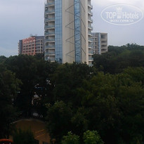 фото из отзыва ID 1219067