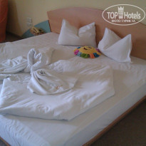 фото из отзыва ID 1219067