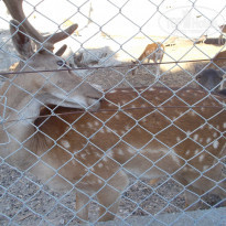 фото из отзыва ID 1219303