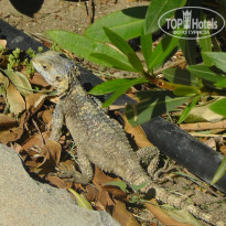 фото из отзыва ID 1219303