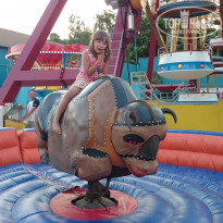 фото из отзыва ID 1219303