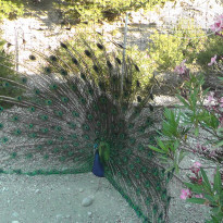 фото из отзыва ID 1219303