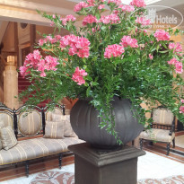 фото из отзыва ID 1219355