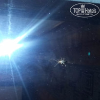 фото из отзыва ID 1210497