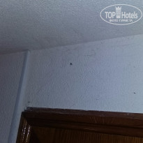 фото из отзыва ID 1210497