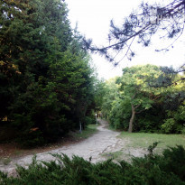 фото из отзыва ID 1219833