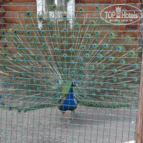 фото из отзыва ID 1219840