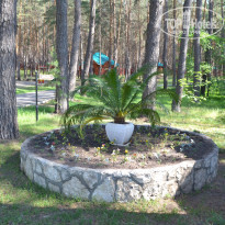 фото из отзыва ID 1219840