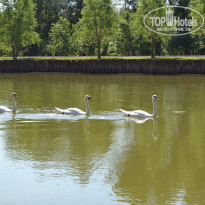 фото из отзыва ID 1219840