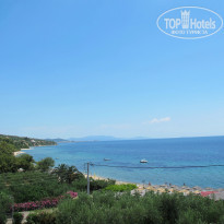 фото из отзыва ID 1219643