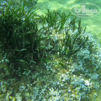 фото из отзыва ID 1219643