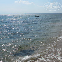 фото из отзыва ID 1219643