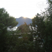 фото из отзыва ID 1218354