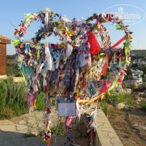 фото из отзыва ID 1213436