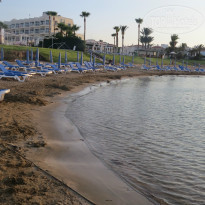 фото из отзыва ID 1213436