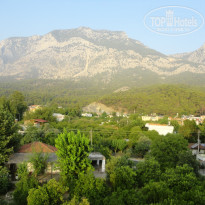 фото из отзыва ID 1217552